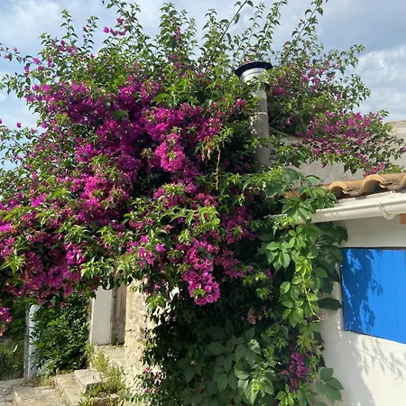 بيت للعطل Lulani Hideaway Agios Panteleimon (Corfu)