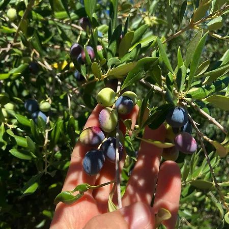 Lulani Hideaway בית נופש *