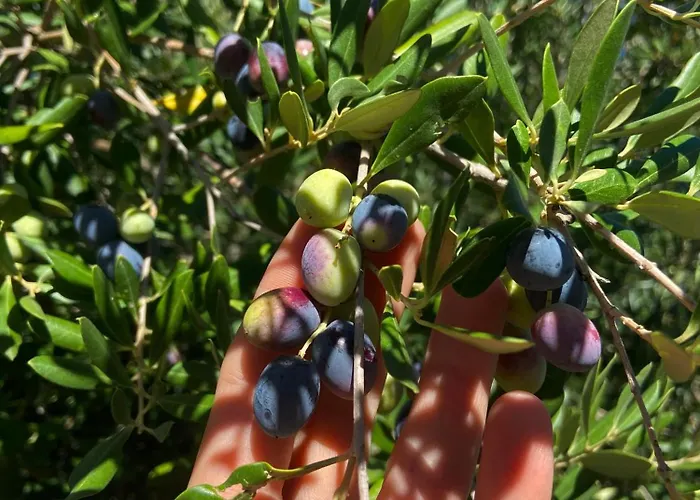 Lulani Hideaway Σπίτι διακοπών *